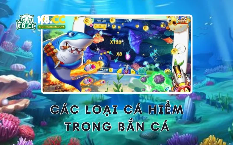 Các loại cá hiếm trong bắn cá ăn xu